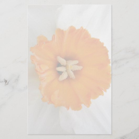 White Daffodil Stationery Briefpapier (Voorkant)