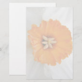 White Daffodil Stationery Briefpapier (Voorkant / Achterkant)