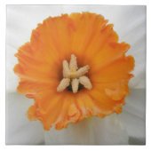 White Daffodil Tile Tegeltje (Voorkant)