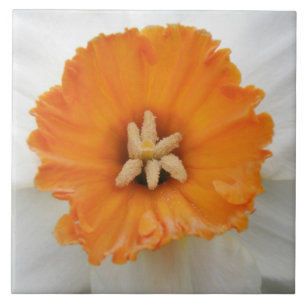 White Daffodil Tile Tegeltje