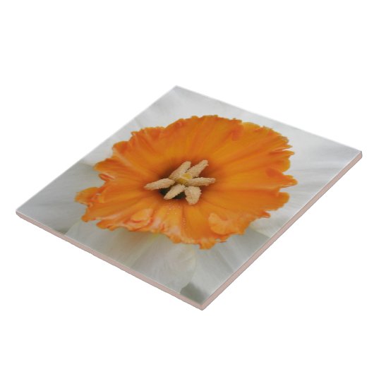 White Daffodil Tile Tegeltje (Zijkant)