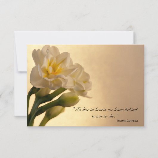 White Daffodils Bedankt voor je sympathie (Voorkant)