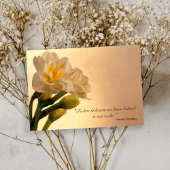 White Daffodils Bedankt voor je sympathie