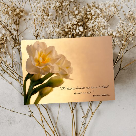 White Daffodils Bedankt voor je sympathie