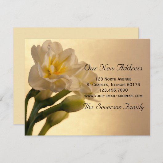 White Daffodils New Address Notice Aankondiging (Voorkant / Achterkant)