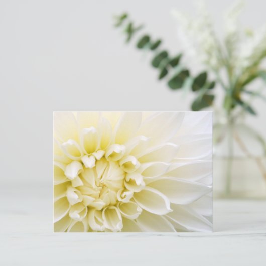 White Dahlia Briefkaart (Staand voorkant)
