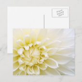 White Dahlia Briefkaart (Voorkant / Achterkant)