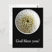 White Dahlia Close-up Briefkaart (Voorkant / Achterkant)