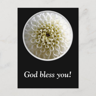White Dahlia Close-up Briefkaart
