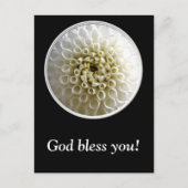 White Dahlia Close-up Briefkaart (Voorkant)