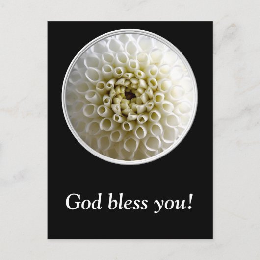 White Dahlia Close-up Briefkaart (Voorkant)
