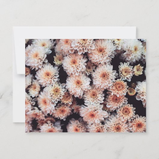 WHITE DAHLIA FLORAL ELEGANT DANK U KAART (Achterkant)