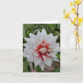 White Dahlia Flower Blank Card Kaart (Gele Bloem)