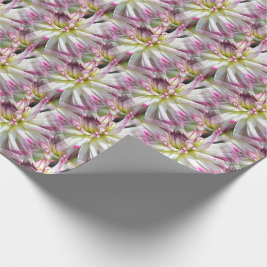 White Dahlia Flower Pattern Natuur    Cadeaupapier (Hoek)
