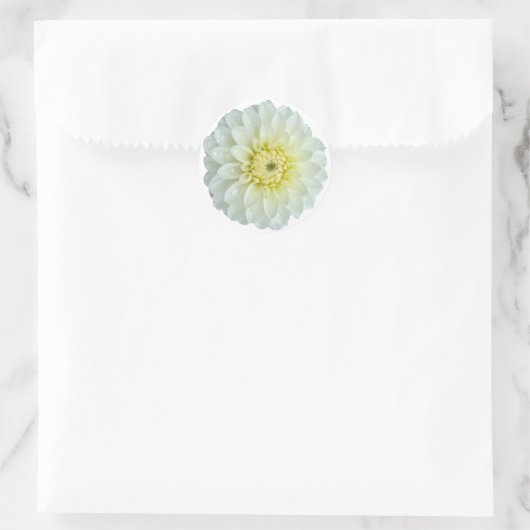 White Dahlia Flower Ronde Sticker (Tas)