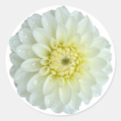 White Dahlia Flower Ronde Sticker (Voorkant)