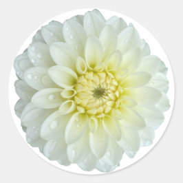 White Dahlia Flower Ronde Sticker