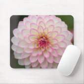 White Dahlia met roze velg Muismat (Met muis)