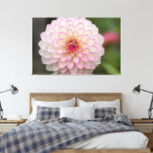 White Dahlia met roze velg ventilator Canvas Afdruk (Insitu (Slaapkamer))