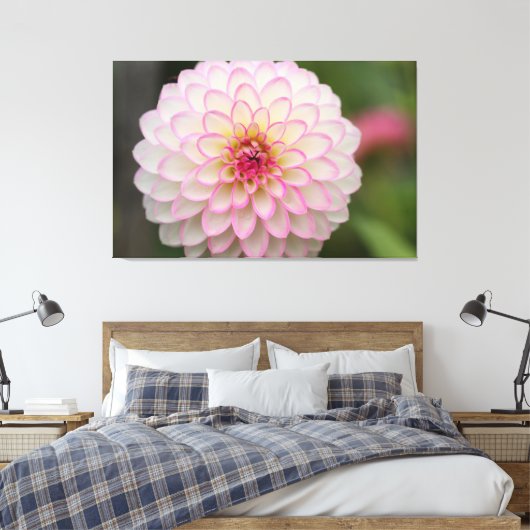 White Dahlia met roze velg ventilator Canvas Afdruk (Insitu (Slaapkamer))