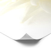 White Dahlia Poster (Hoek)