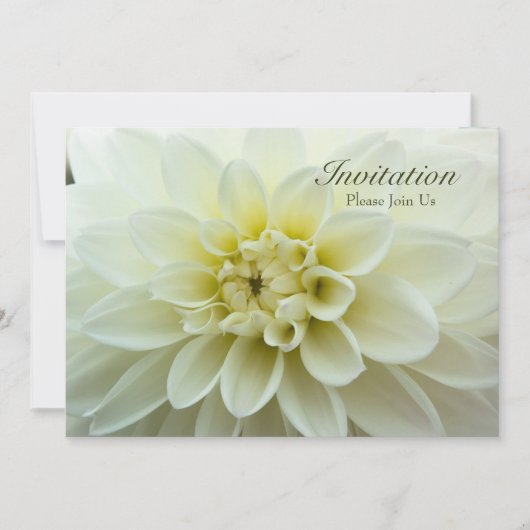 White Dahlia ・ Rehearsal Dinner Invitation Kaart (Voorkant)