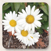 White Daises Onderzetters (Voorkant)