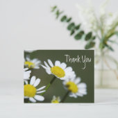 White Daisies Bedankt Briefkaart (Staand voorkant)