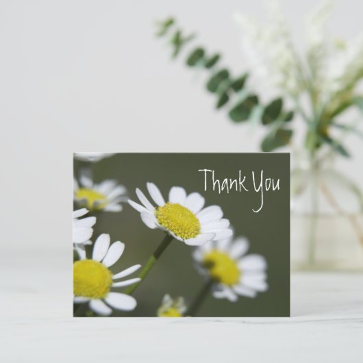White Daisies Bedankt Briefkaart (Staand voorkant)