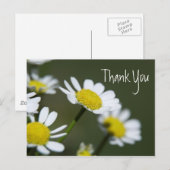 White Daisies Bedankt Briefkaart (Voorkant / Achterkant)