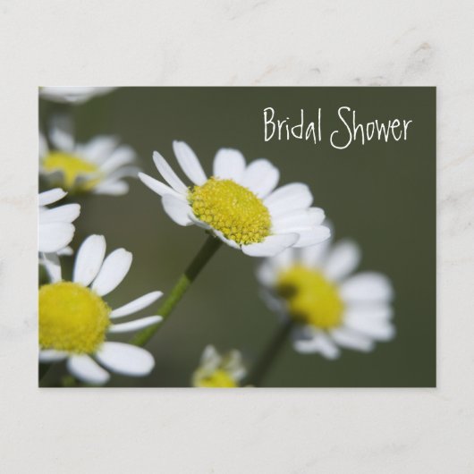 White Daisies Bridal Shower Invitation Uitnodiging Briefkaart (Voorkant)