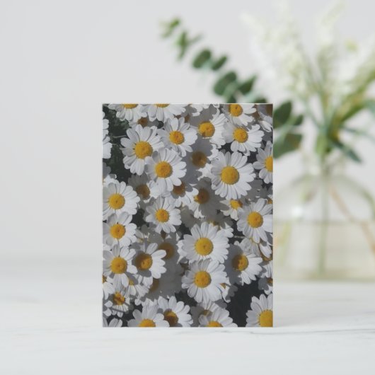 White Daisies Briefkaart (Staand voorkant)