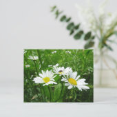 White Daisies DIY Briefkaart (Staand voorkant)