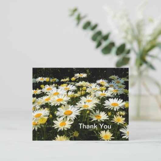  White Daisies Garden Floral Foto Dank je Briefkaart (Staand voorkant)