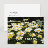  White Daisies Garden Floral Foto Dank je Briefkaart (Voorkant / Achterkant)
