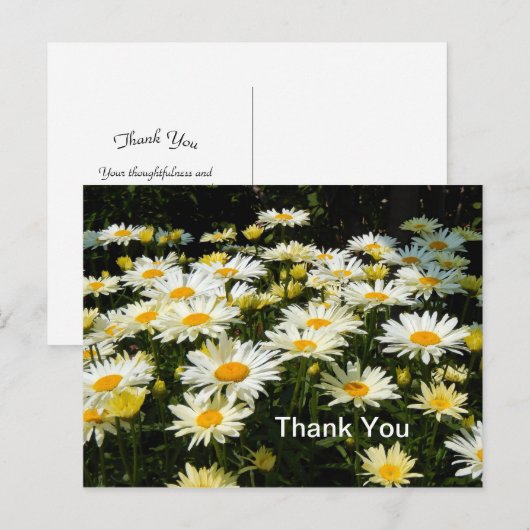  White Daisies Garden Floral Foto Dank je Briefkaart (Voorkant / Achterkant)