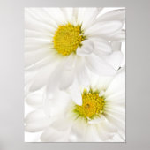 White Daisies - Gepersonaliseerd Daisy Flower Sjab Poster (Voorkant)