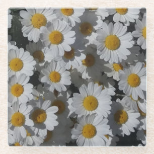White Daisies Glazen Onderzetter