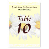 White Daisies in Rain Wedding Products Kaart (Achterkant)