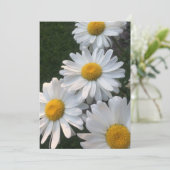 White Daisies Kaart (Staand voorkant)
