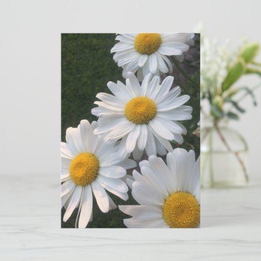 White Daisies Kaart (Staand voorkant)