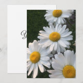 White Daisies Kaart (Voorkant / Achterkant)