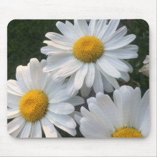 White Daisies Muismat