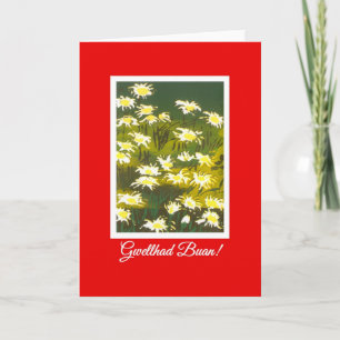 White Daisies on Red Get Well Kaart: Welsh Greetin Kaart