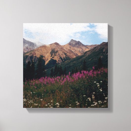 White Daisies Paars Fireweed Talkeetna Mtns. Canvas Afdruk (Voorkant)