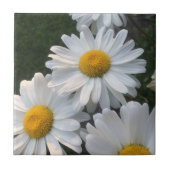 White Daisies Tegeltje (Voorkant)