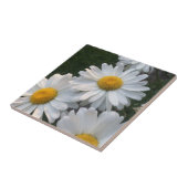 White Daisies Tegeltje (Zijkant)