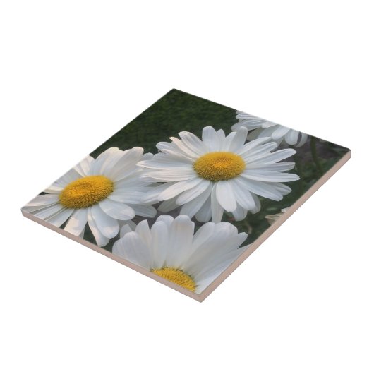 White Daisies Tegeltje (Zijkant)