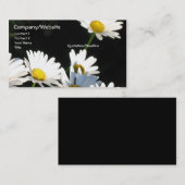 White Daisies Visitekaartje (Voorkant / Achterkant)