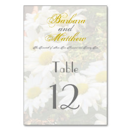 White Daisies Yellow en Grey Script Elegant Kaart
